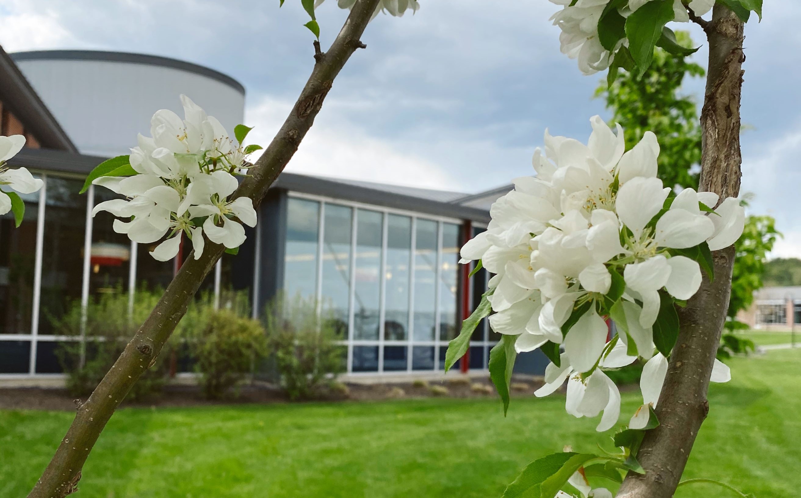 Thomas College Senior Dinner